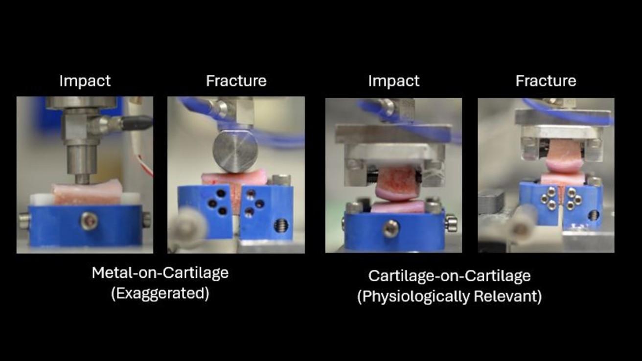 photographs of mechanical testing equipment